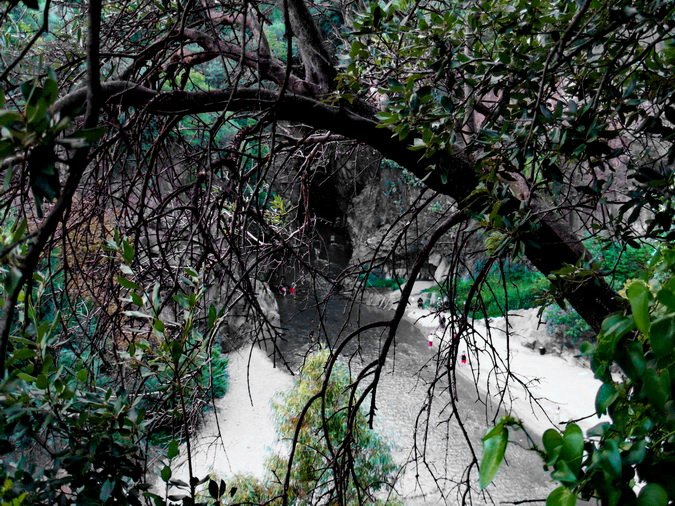 (88) Gole dell'Alcantara